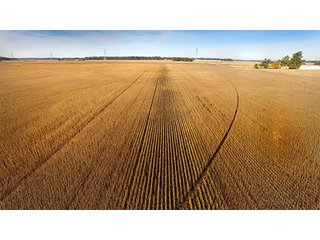 Property photo 5 - LAND AUCTION - 307.75+/- ACRES OFFERED IN 5 TRACTS IN PULASKI COUNTY, INDIANA